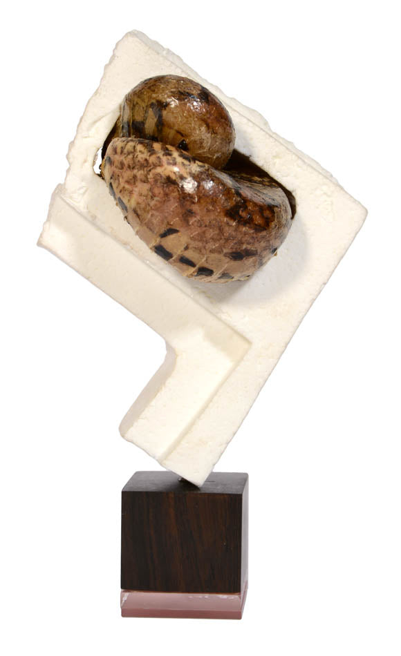 Polly Morgan is a British artist known for her taxidermy sculptures. She dosn't sentimentalize nature but show as it is: cannibalistic and predatory.