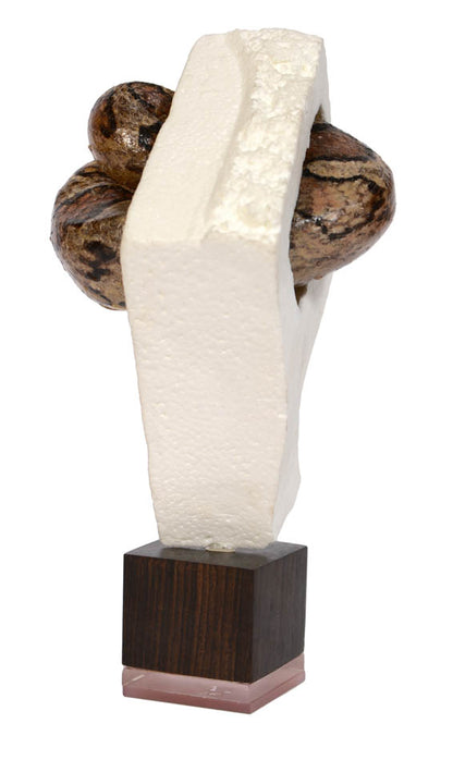 Polly Morgan is a British artist known for her taxidermy sculptures. She dosn't sentimentalize nature but show as it is: cannibalistic and predatory.