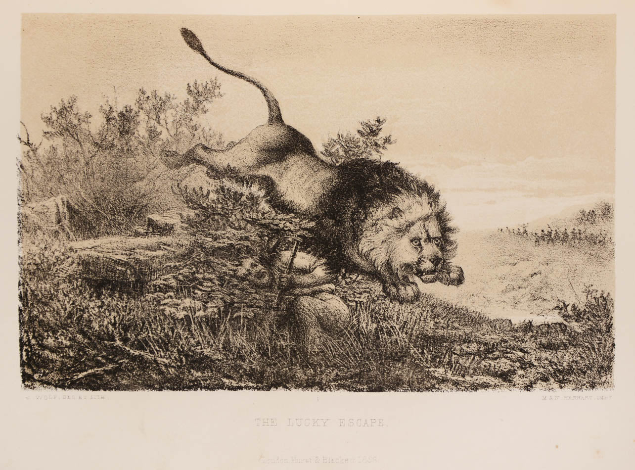The narrative describes two expeditions, one  accompanied by Francis Galton in the Ovampo country, and the other when he travelled by himself to Lake Ngami