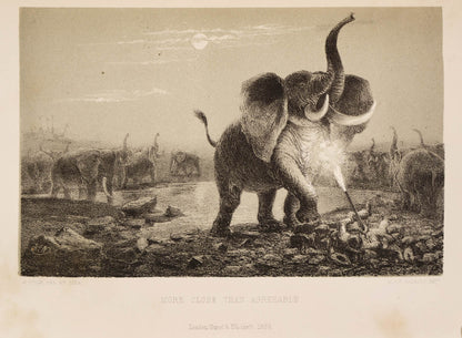 The narrative describes two expeditions, one  accompanied by Francis Galton in the Ovampo country, and the other when he travelled by himself to Lake Ngami