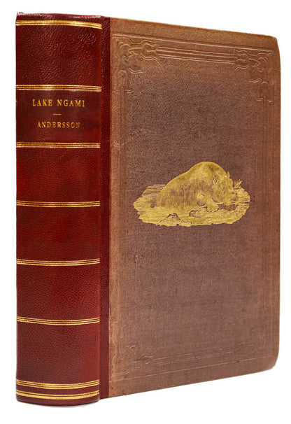 The narrative describes two expeditions, one  accompanied by Francis Galton in the Ovampo country, and the other when he travelled by himself to Lake Ngami