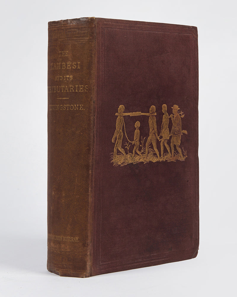 An expedition to expose the Portuguese slave traders and to find a way to establish a settlement for missions and commerce near the head of the Rovuma. 
