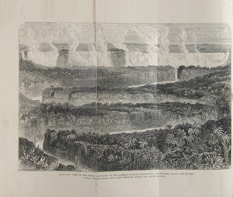An expedition to expose the Portuguese slave traders and to find a way to establish a settlement for missions and commerce near the head of the Rovuma. 