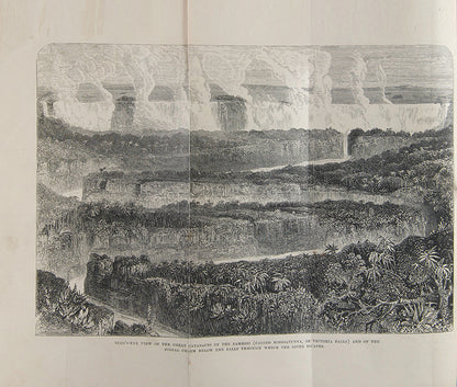 An expedition to expose the Portuguese slave traders and to find a way to establish a settlement for missions and commerce near the head of the Rovuma. 