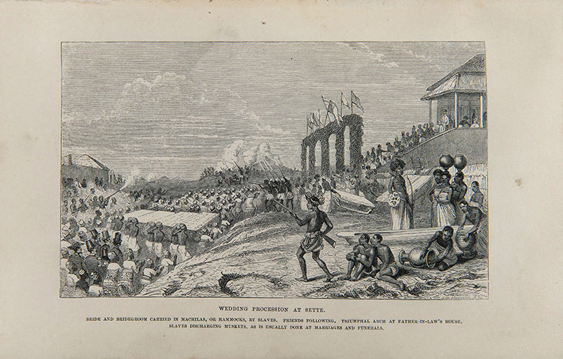 An expedition to expose the Portuguese slave traders and to find a way to establish a settlement for missions and commerce near the head of the Rovuma. 