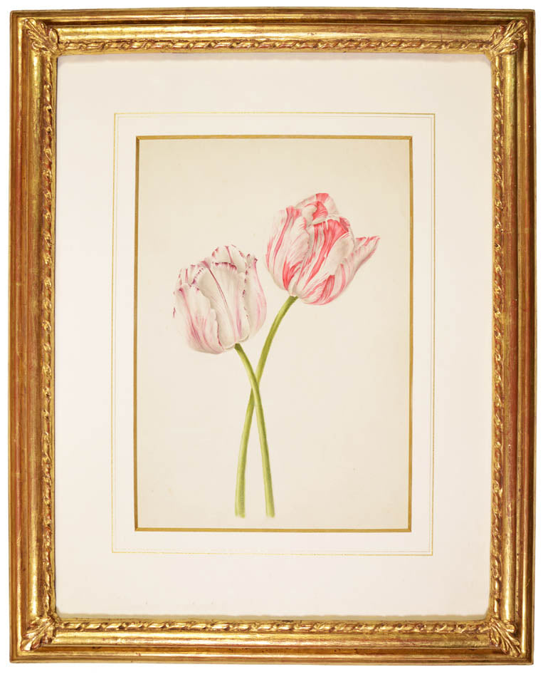 colour over pencil, finely executed on wove paper and heightened with gum-arabic