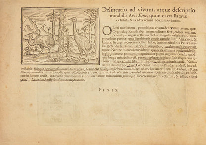 An anonymous account of Houtman's expedition which demonstrated to the Dutch that they could circumvent the Portuguese monopoly on trade in the East.