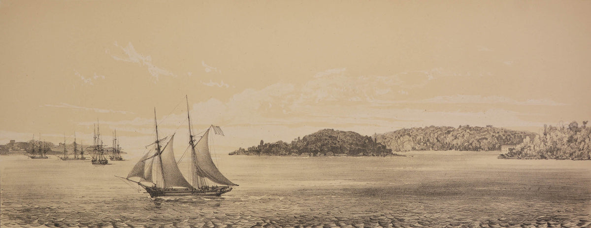 Du Petit-Thouars voage was one of the most important of all the Grands Voyages, with some of the finest lithographs of the 19th century.