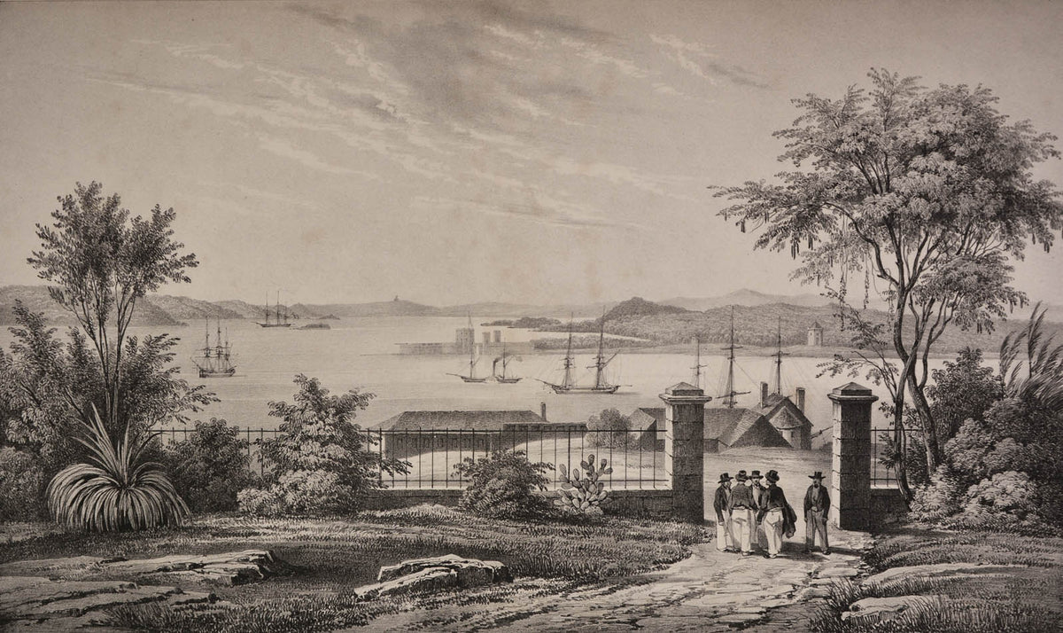 Du Petit-Thouars voage was one of the most important of all the Grands Voyages, with some of the finest lithographs of the 19th century.