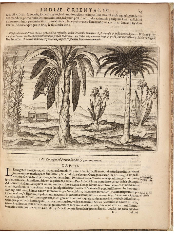 First latin edition of this important account of Houtman's voyage, the first Dutch voyage ot the East Indies.  With detailed descriptions of Java and Bali.