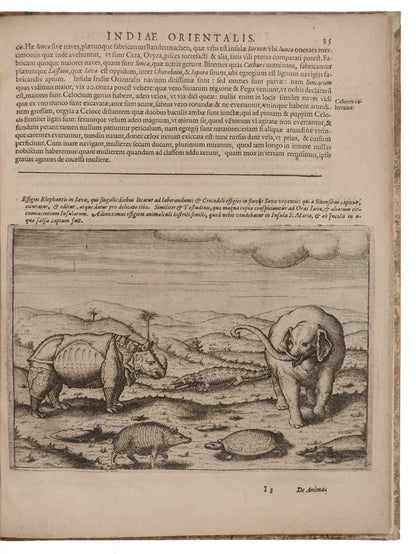 First latin edition of this important account of Houtman's voyage, the first Dutch voyage ot the East Indies.  With detailed descriptions of Java and Bali.