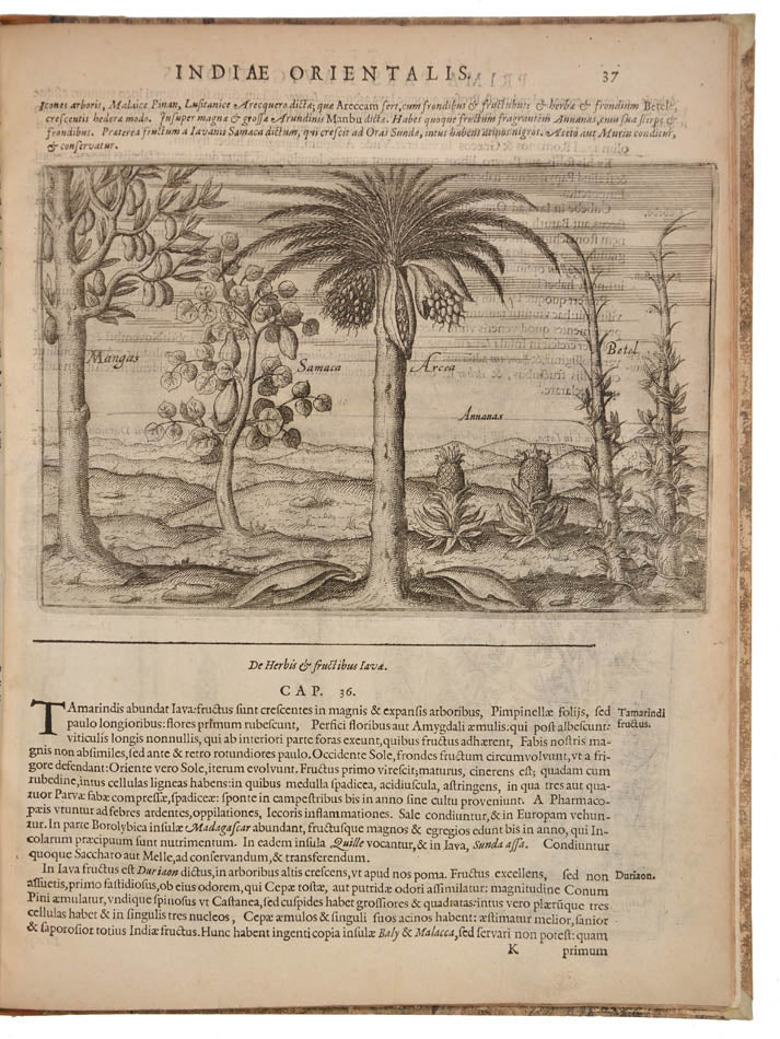 First latin edition of this important account of Houtman's voyage, the first Dutch voyage ot the East Indies.  With detailed descriptions of Java and Bali.