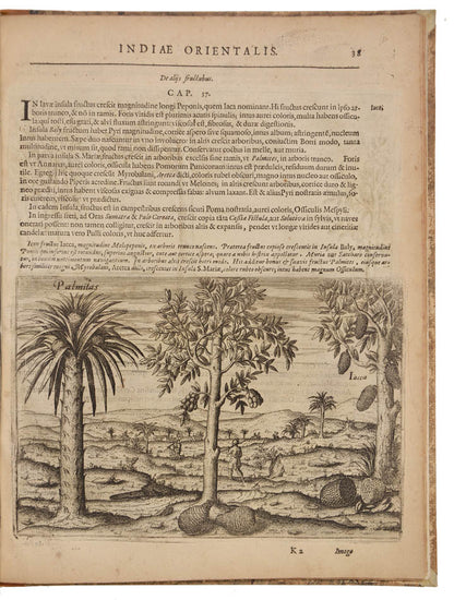 First latin edition of this important account of Houtman's voyage, the first Dutch voyage ot the East Indies.  With detailed descriptions of Java and Bali.