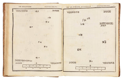 An early edition of the first printed celestial atlas.  Notable for the depiction of the Corona Australe or Southern Cross.