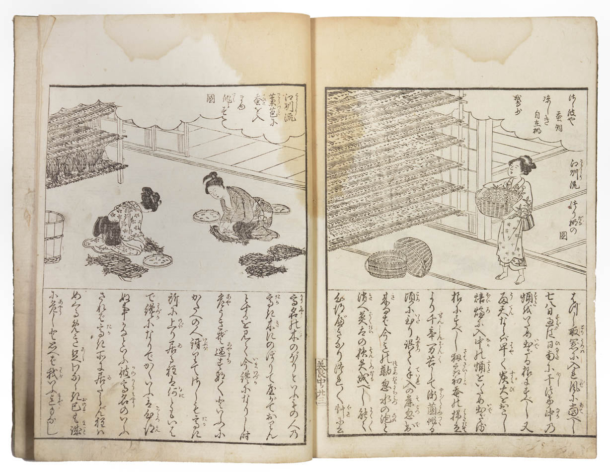 illustrated treatise on silk manufacturing