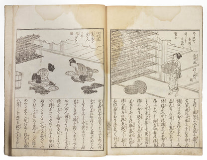 illustrated treatise on silk manufacturing