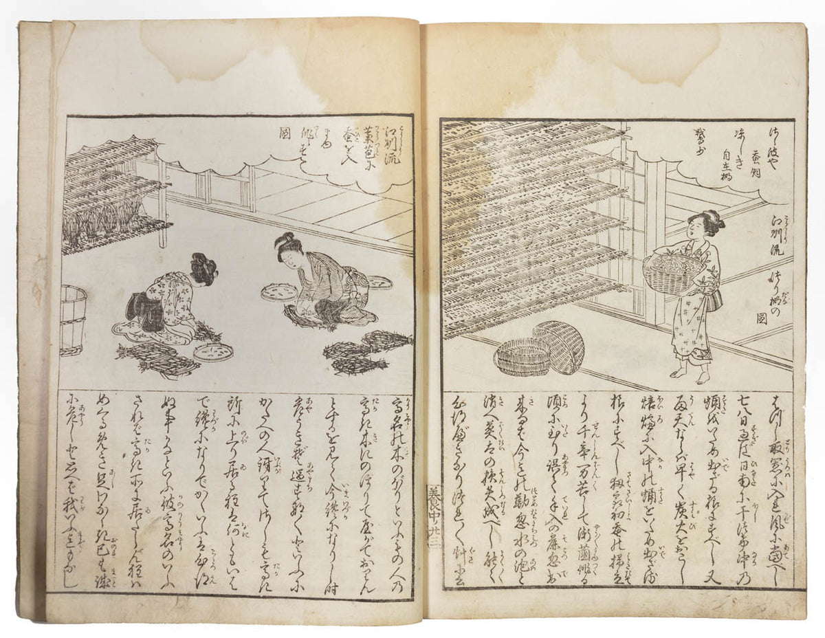 illustrated treatise on silk manufacturing