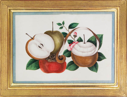 Group of eight watercolour and gouache on pith paper showing Exotic Fruits, edged in turquoise silk ribbon and laid on paper.   Framed and glazed.