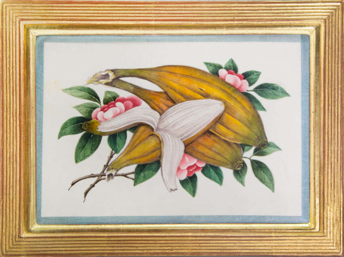 Group of eight watercolour and gouache on pith paper showing Exotic Fruits, edged in turquoise silk ribbon and laid on paper.   Framed and glazed.