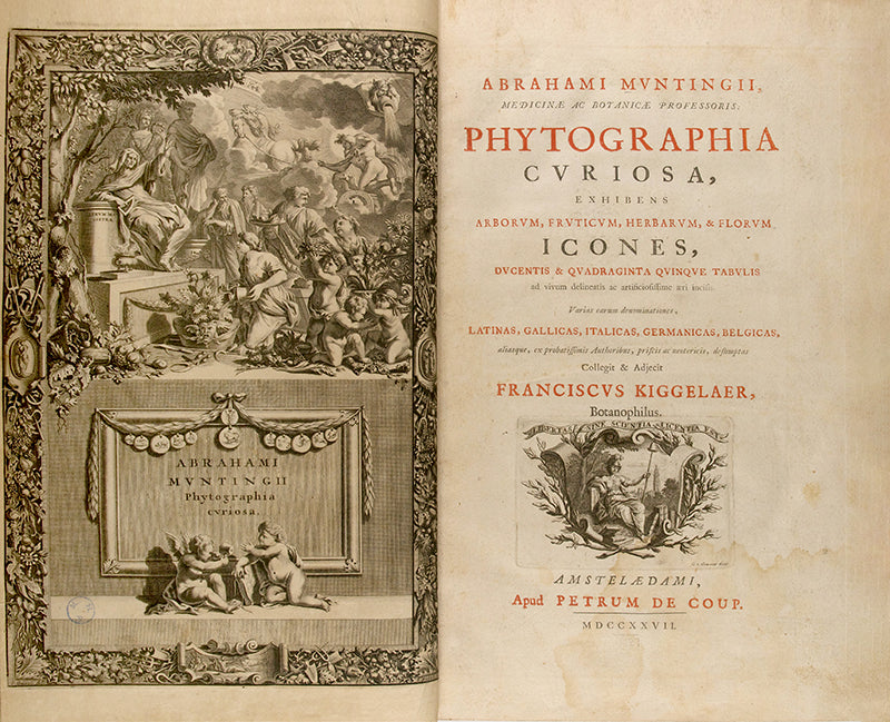 the most handsome and influential botanical of its day, with its near-dreamlike depiction of plants suspended above cityscapes and other backgrounds.