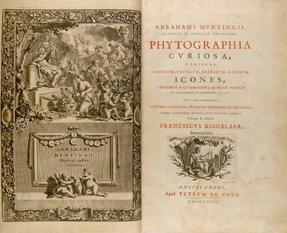 the most handsome and influential botanical of its day, with its near-dreamlike depiction of plants suspended above cityscapes and other backgrounds.