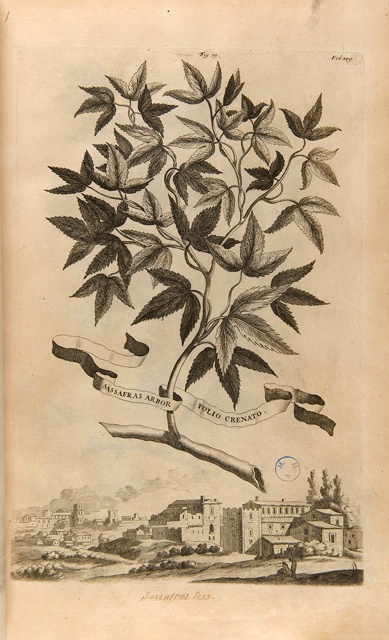 the most handsome and influential botanical of its day, with its near-dreamlike depiction of plants suspended above cityscapes and other backgrounds.