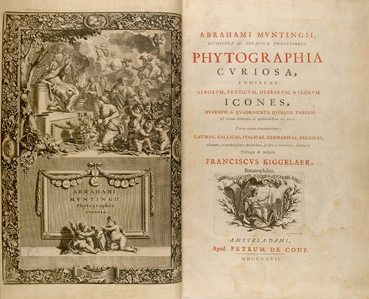 the most handsome and influential botanical of its day, with its near-dreamlike depiction of plants suspended above cityscapes and other backgrounds.