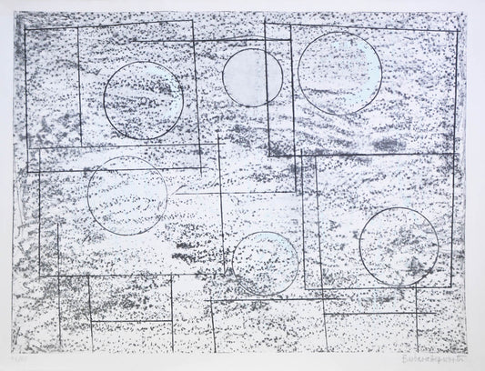 Twelve Lithographs was made after her retrospective at the Tate Gallery, it shows her study on the  two dimension of drawing.
