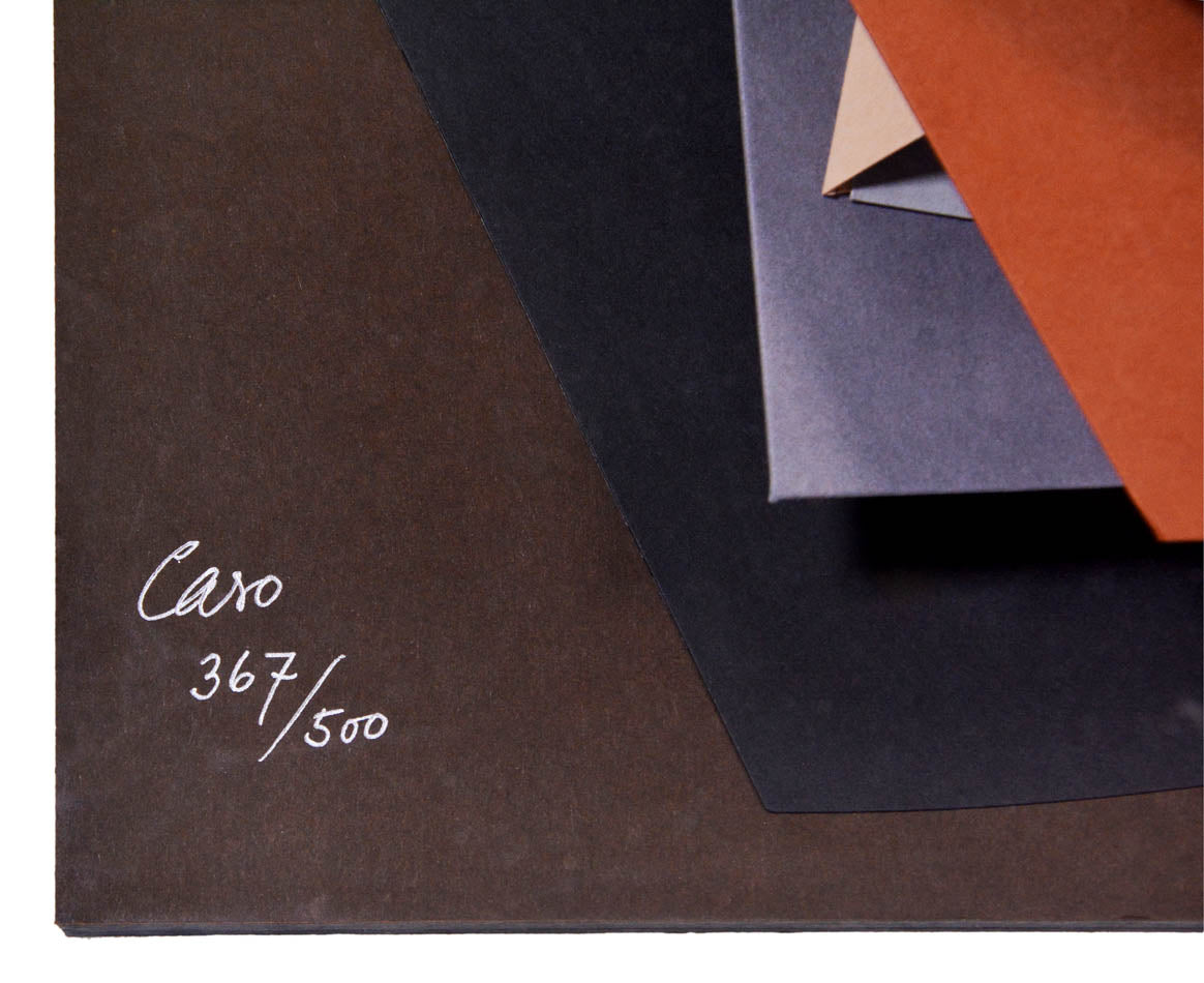 Leaf Pool by Anthony Caro is a wall mounted card sculpture, signed and numbered from the edition of 500 in pencil.