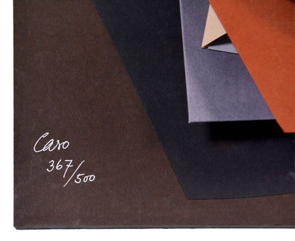 Leaf Pool by Anthony Caro is a wall mounted card sculpture, signed and numbered from the edition of 500 in pencil.
