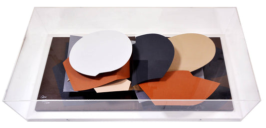 Leaf Pool by Anthony Caro is a wall mounted card sculpture, signed and numbered from the edition of 500 in pencil.