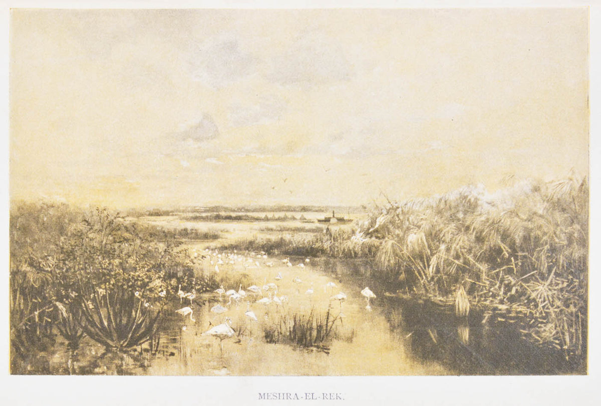 The result of Casati's 10-year exploration of the Welle basin, full of valuable scientific data regarding the flora and fauna of the region