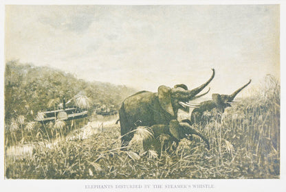 The result of Casati's 10-year exploration of the Welle basin, full of valuable scientific data regarding the flora and fauna of the region
